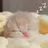 졸린 고양이