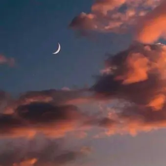 Profile image of 황현진