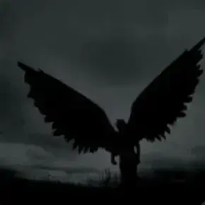 Profile image of DSMP