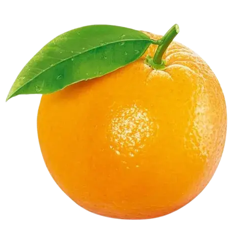 우리반 대표 이미지
