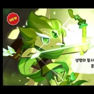 바람궁수쿠키