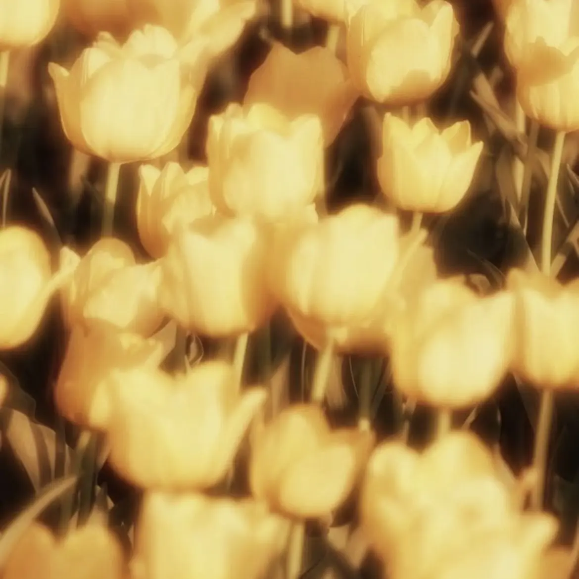 UEUI-1214_duckgae_love의 0423 | 안정형