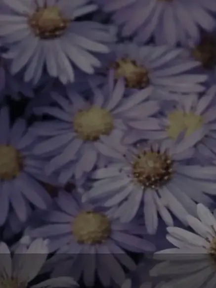 Himajin4545의 変な研究所。