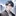 서태규
