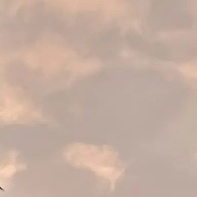 Profile image of 잠뜰