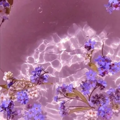 Profile image of 덕개