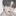 현빈