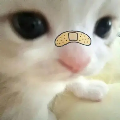 Profile image of 누프