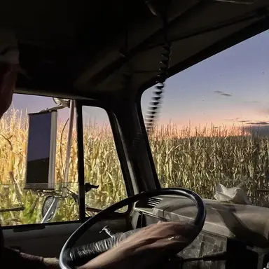 Profile image of Coy