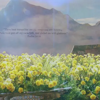 Profile image of 지용