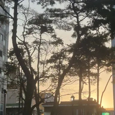 Profile image of 정예원