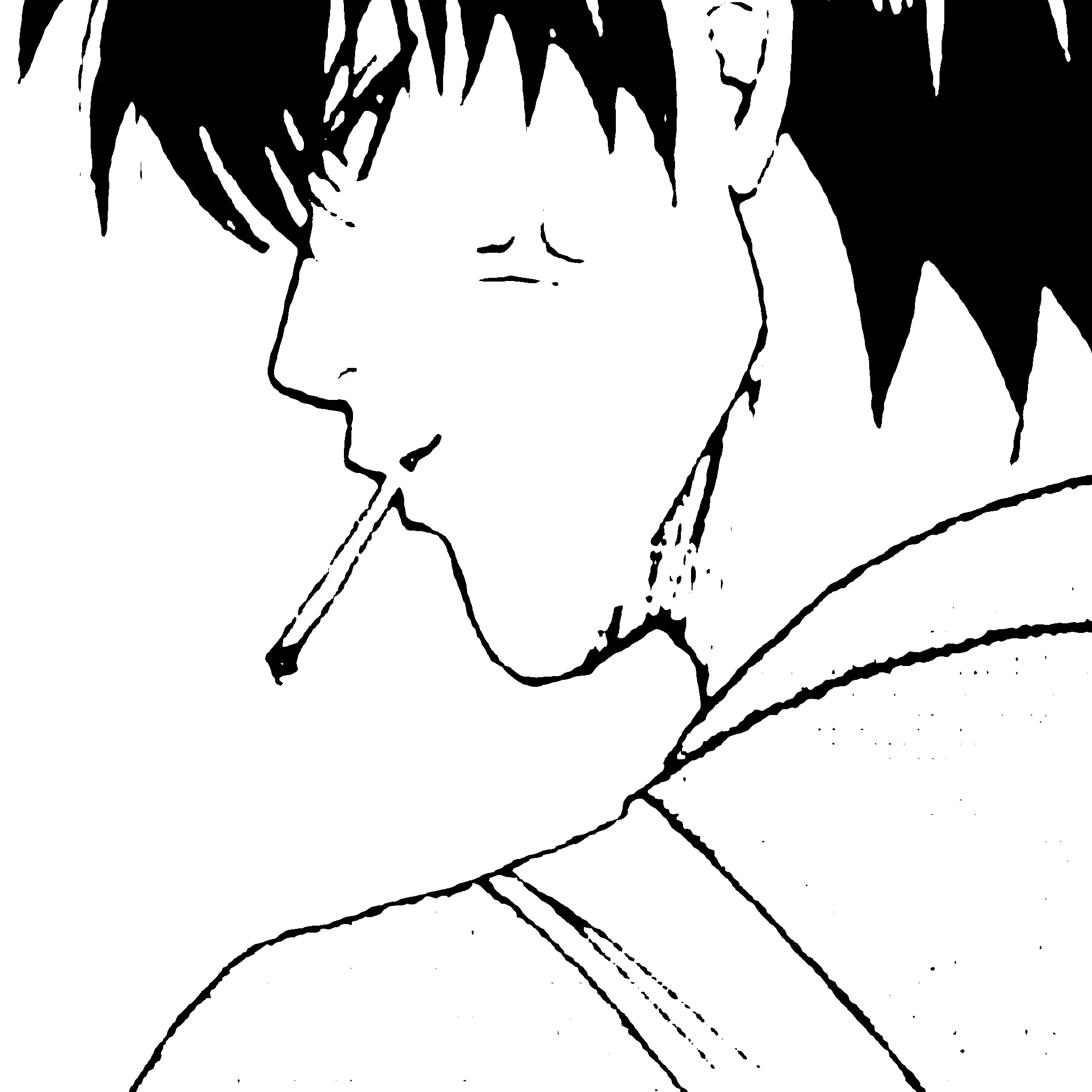 Nhfo0910의 土方十四郎