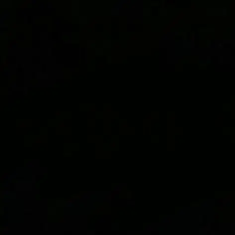 2000.6.6의 ­