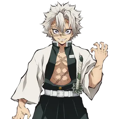 Profile image of 시나즈가와 사네미