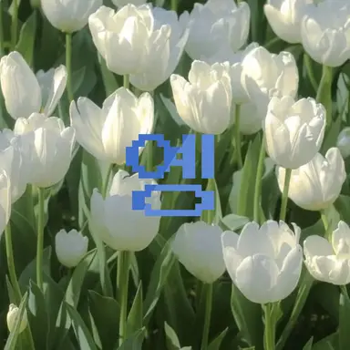 Profile image of 옝