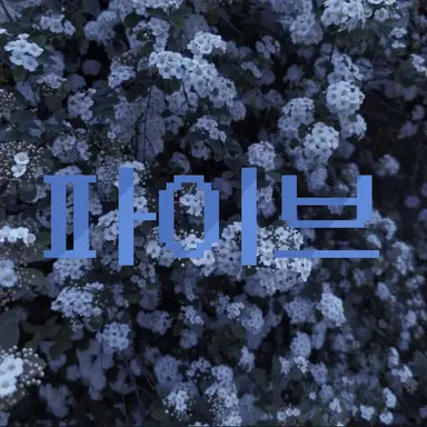 Profile image of 파이브