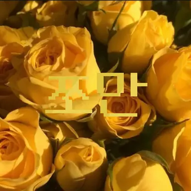 Profile image of 쪼만