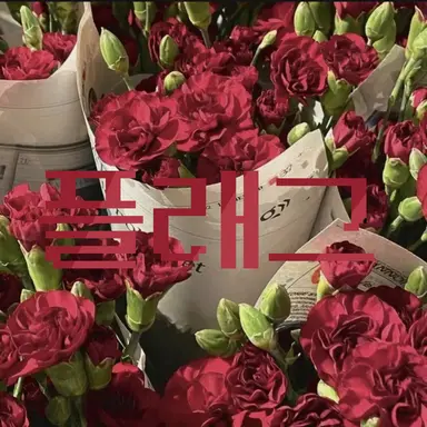 Profile image of 플래그