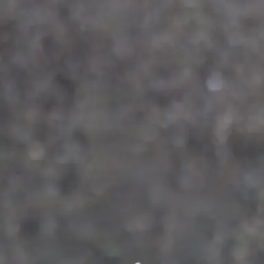 Profile image of 아이3