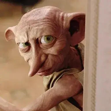 Profile image of Dobby