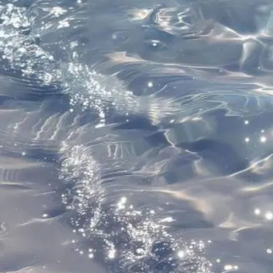 Profile image of 잠뜰