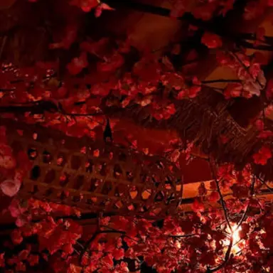 Profile image of 라더