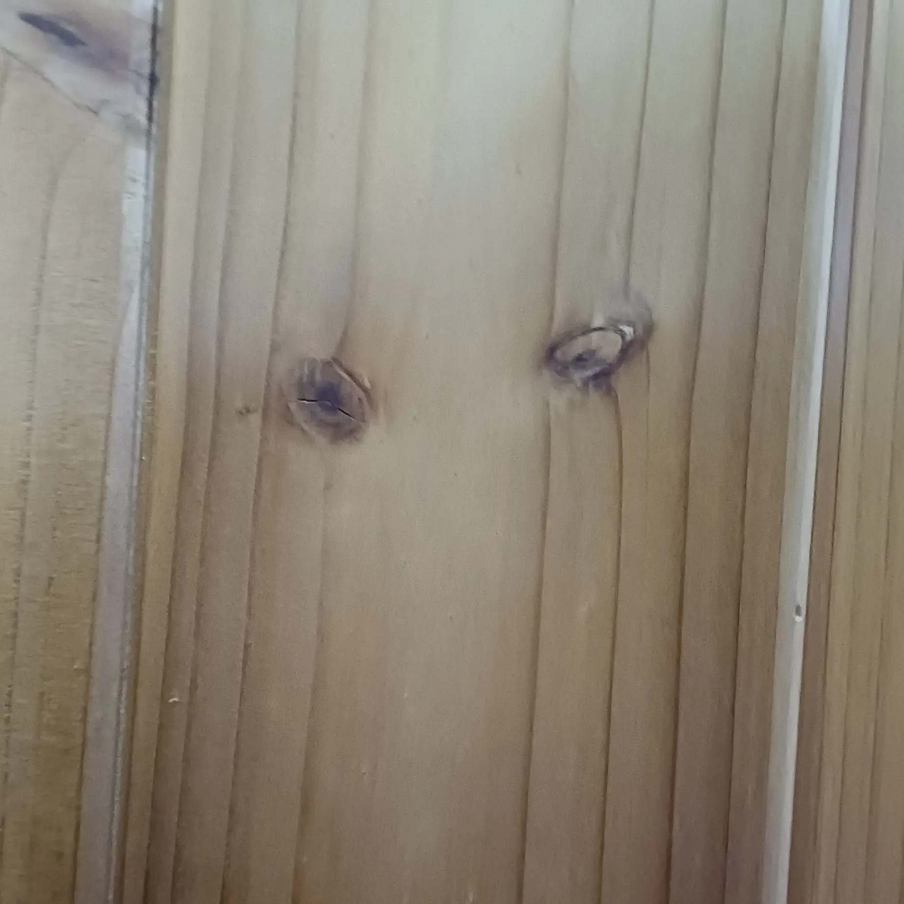 OutlawReef3594의 우리 즈 그리워ㅠ