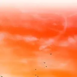 FarArrow1746의 무협시대