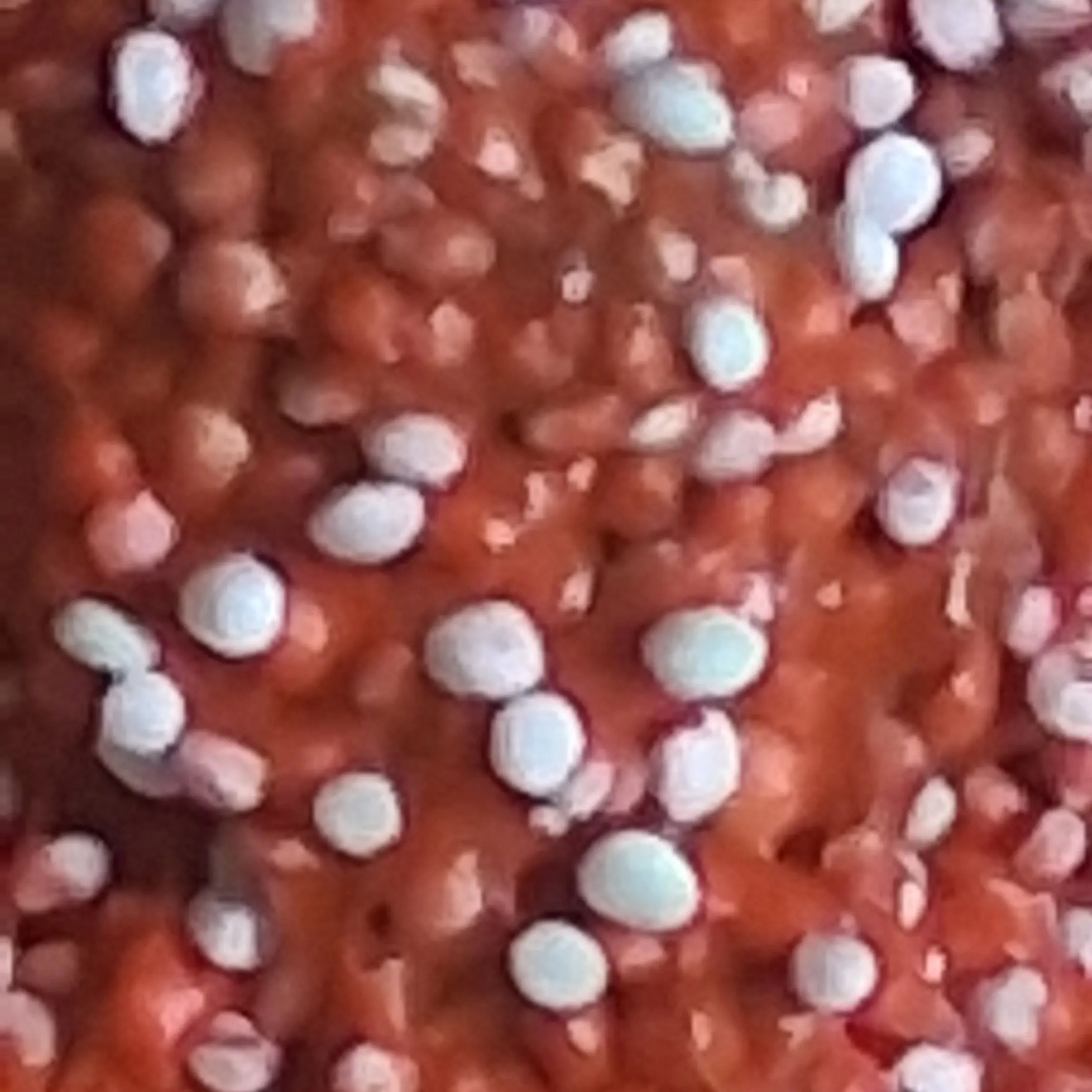 JoyfulGesso1209의 조선시대 사람이 현대로???