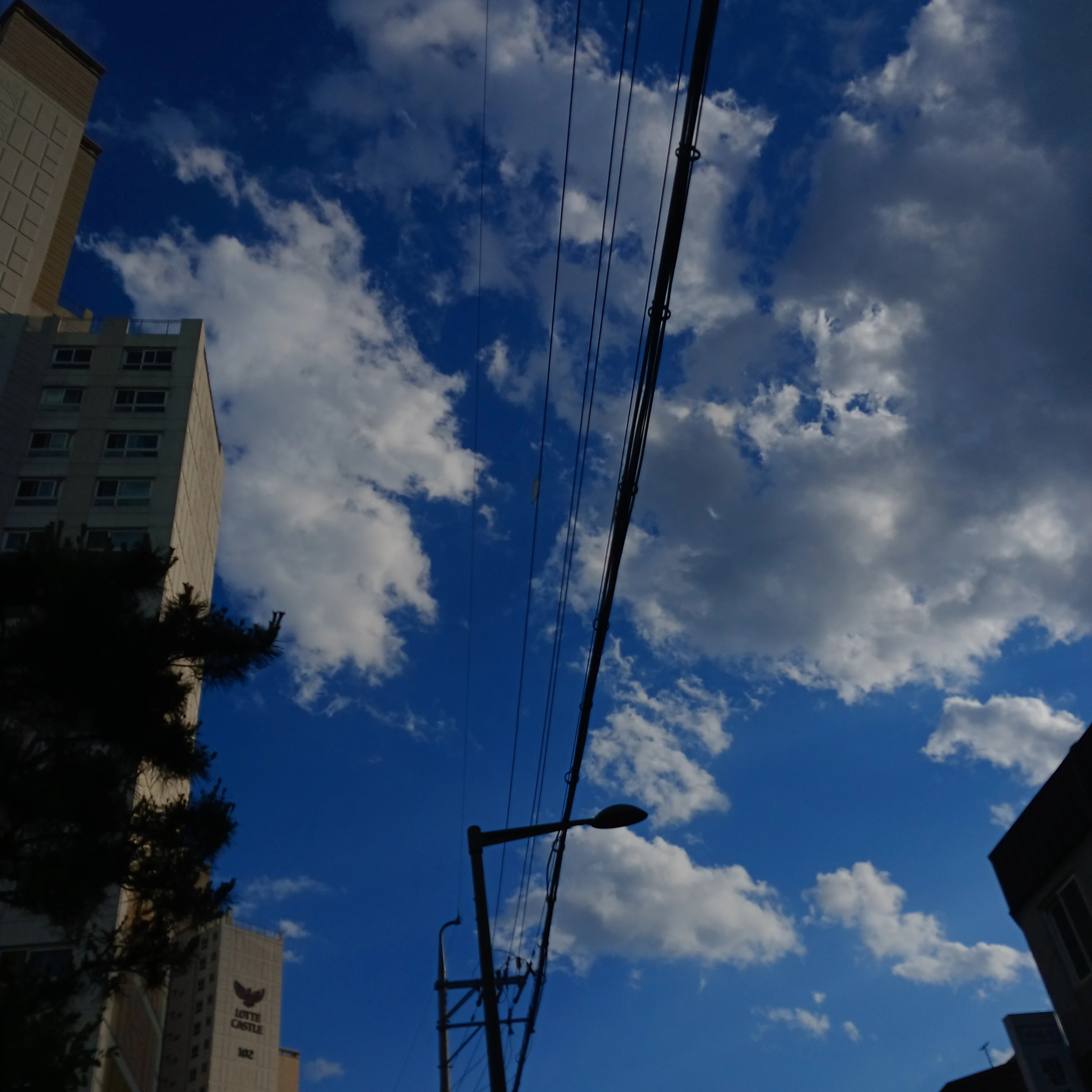 스키즈 f8