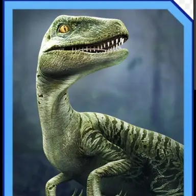 Profile image of Charlie