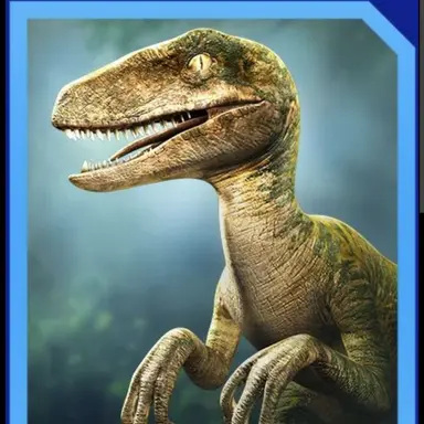 Profile image of Echo