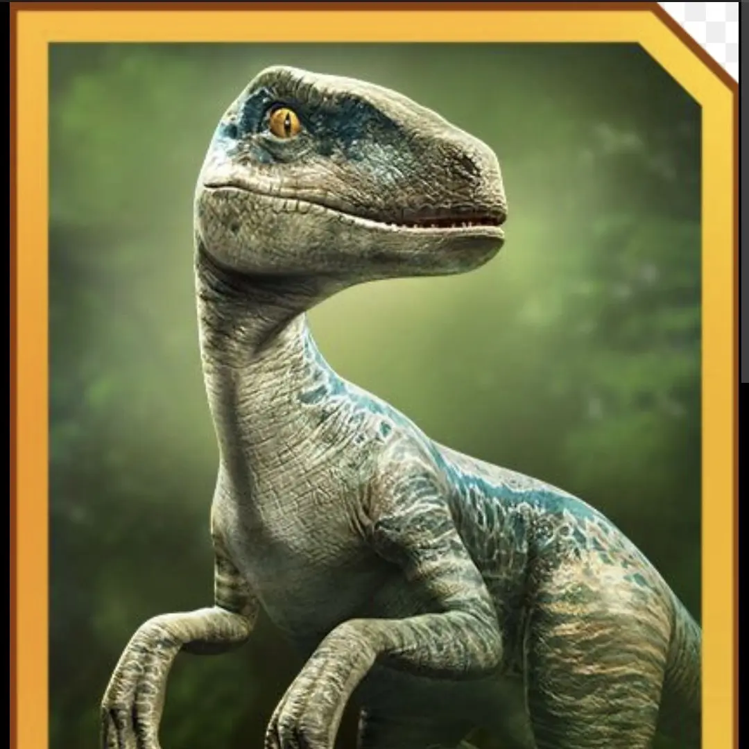 FoggyCar901의 The Raptor squad