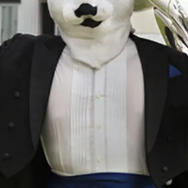 Profile image of Polar Bear