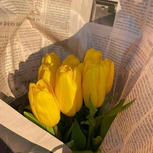 StingyHouse5829의 김각별