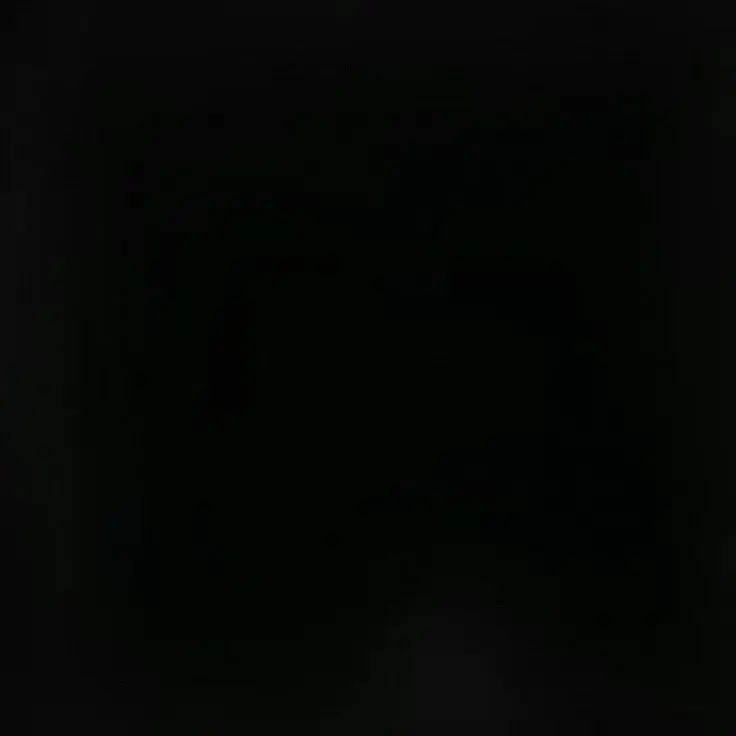 HHHGTY의 양키