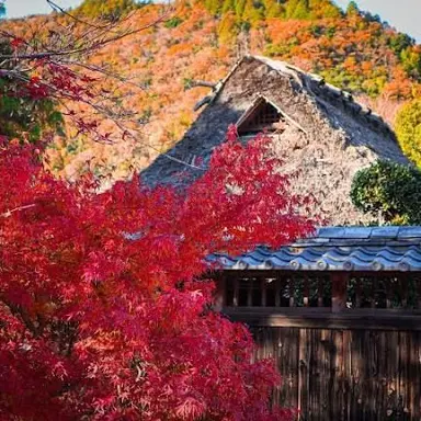 Profile image of 黒名蘭世