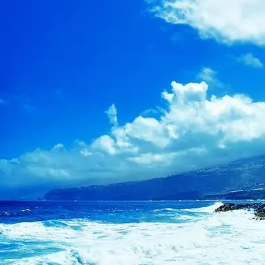 Profile image of 凛