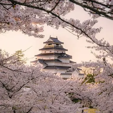 Profile image of 凪