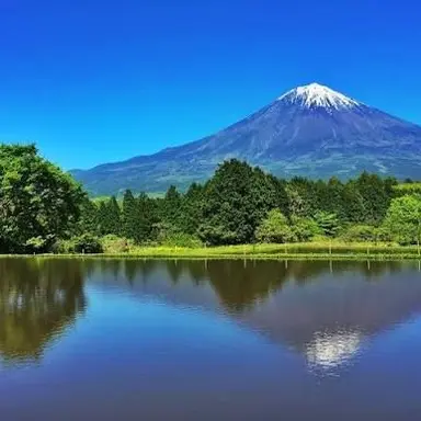 Profile image of 氷織