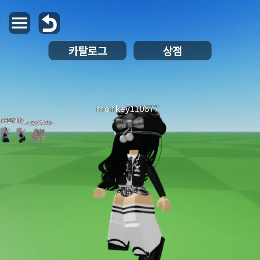 LeftJoy2815의 능력즈