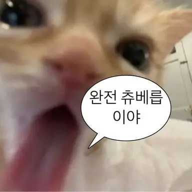 Profile image of 이 도 윤