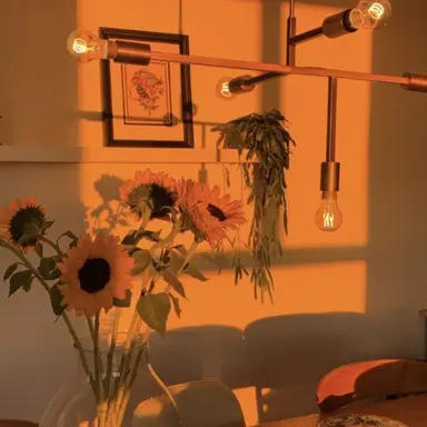 Profile image of 코마