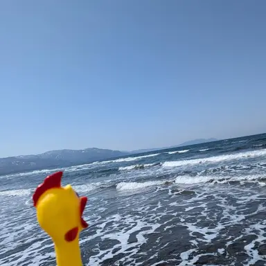 Profile image of カンヒュ。旧国