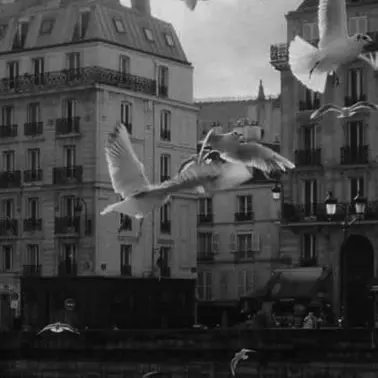 Profile image of 우융