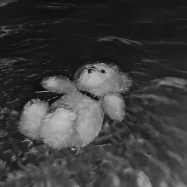 Profile image of 우융