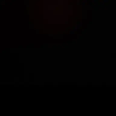Profile image of 부스 키츠네