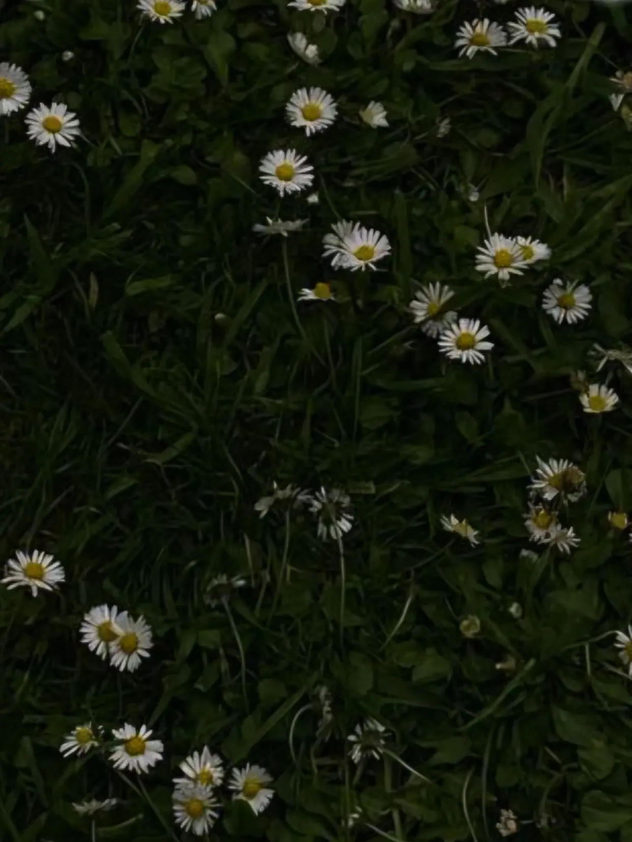 slow_vibe의 The world I make
