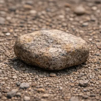 Profile image of 길에서 발견한 돌