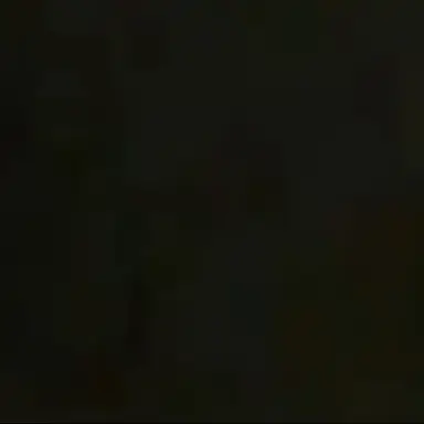 Profile image of 커플 남녀무리 여우